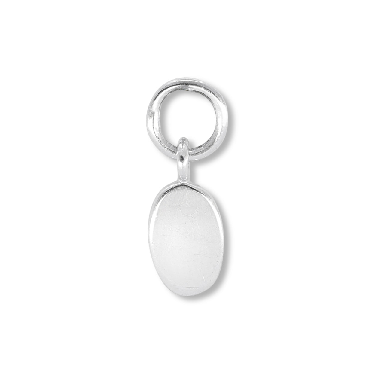 Toggle Silver Charm